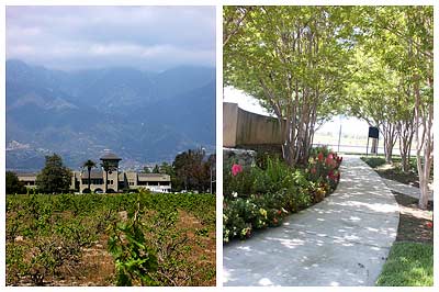 Virginia Dare Center and City Hall Entrance, Rancho Cucamonga, California